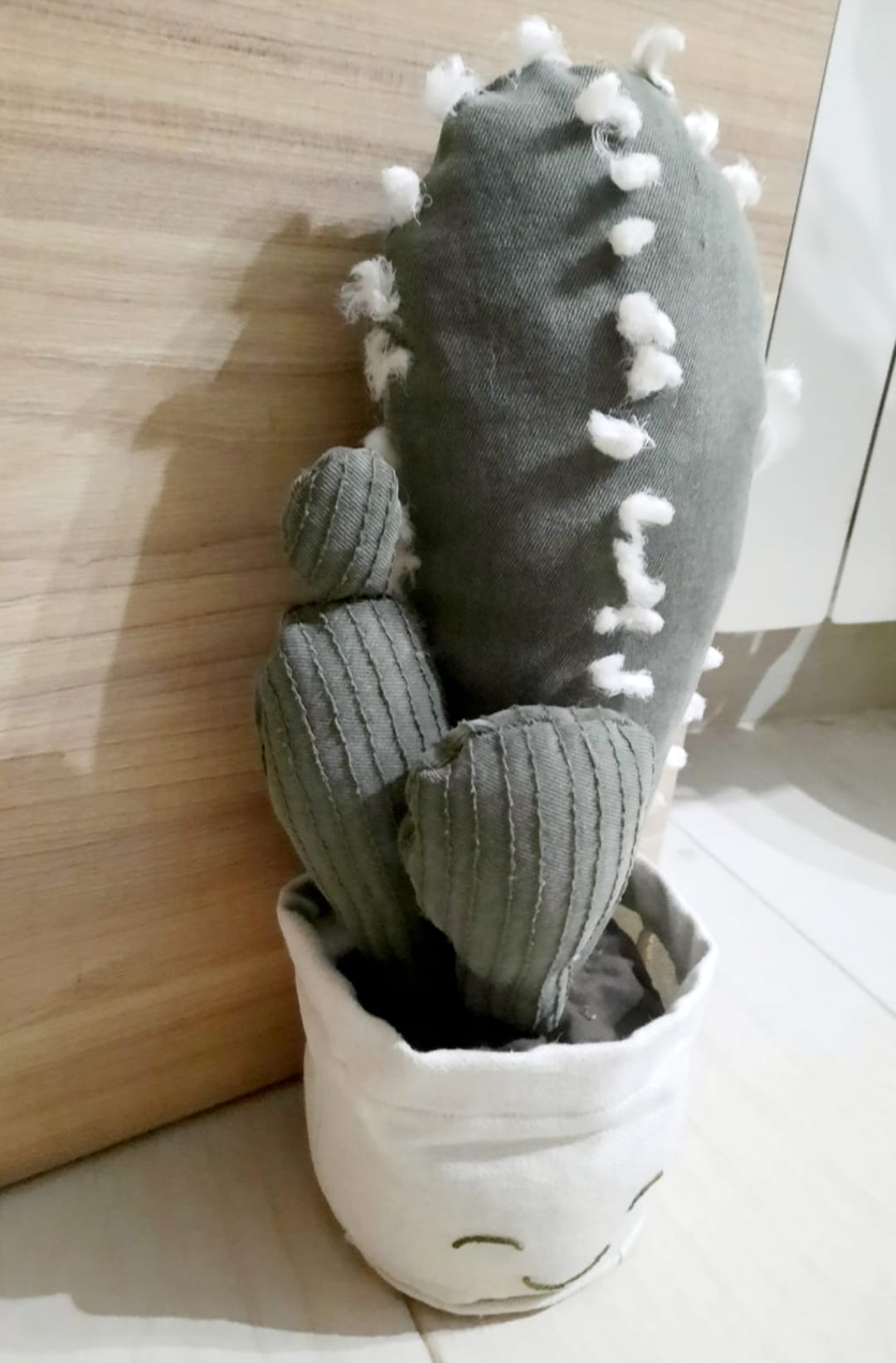 CACTUS SUJETAPUERTAS