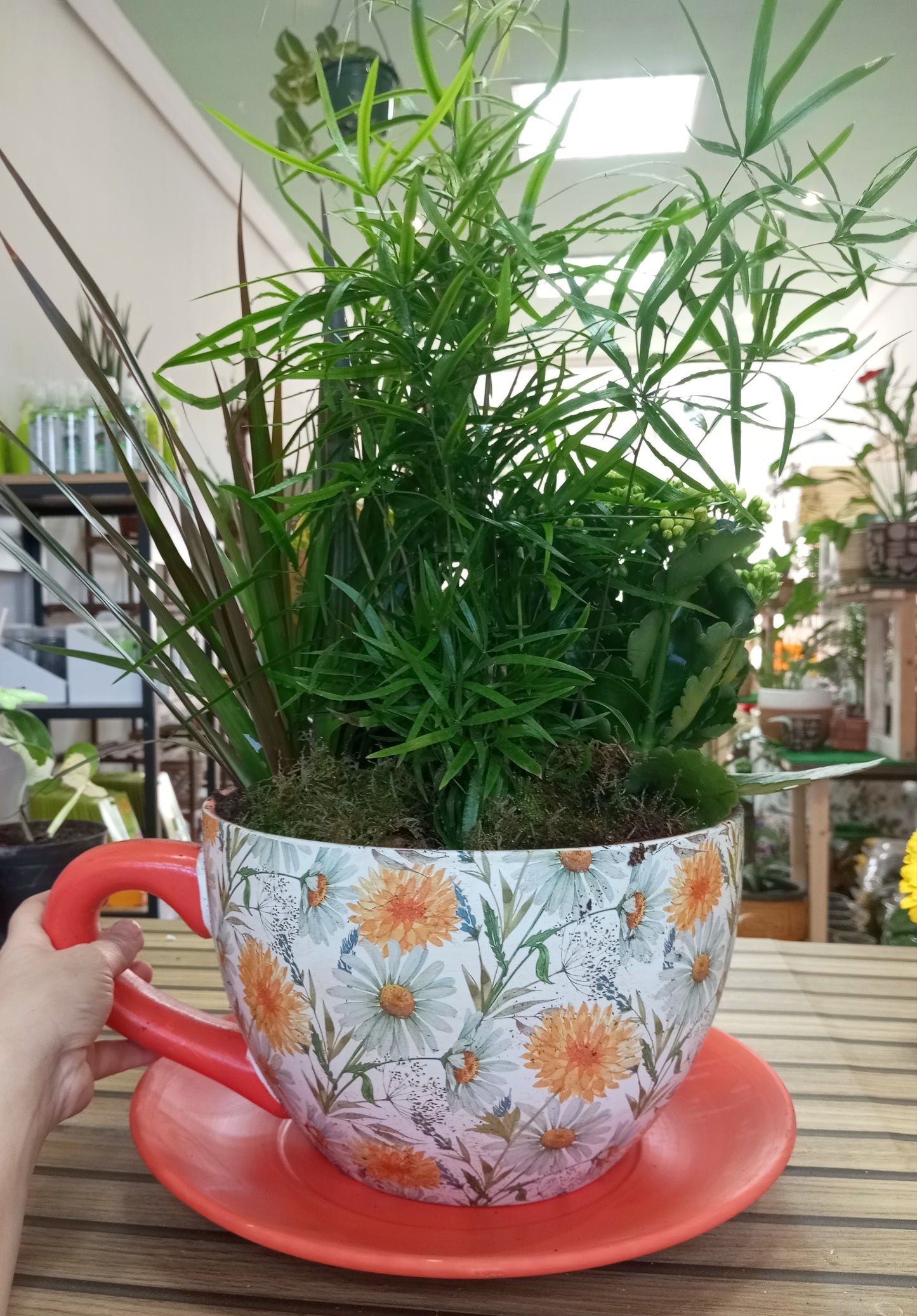 CENTRO VERDE TAZA TÉ