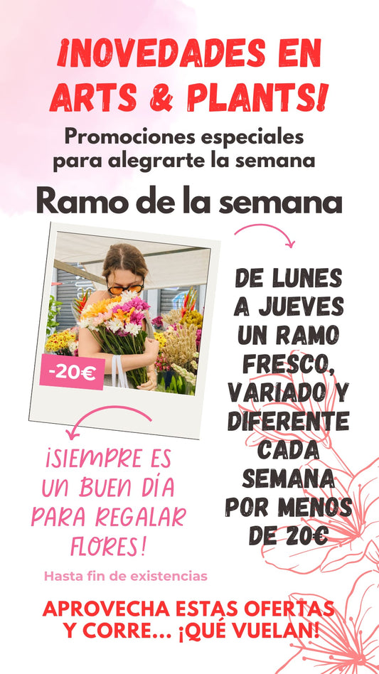 RAMO DEL FLORISTA